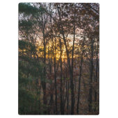 SDC Woody Sunset Klemmbrett (Rückseite)
