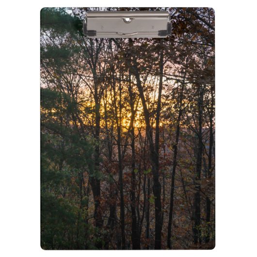 SDC Woody Sunset Klemmbrett (Vorderseite)