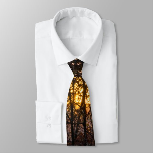 SDC Woody Sunset Neck Tie Krawatte (Gebunden)