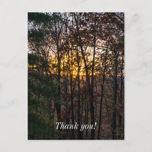 SDC Woody Sunset Postkarte (Vorderseite)