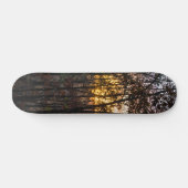 SDC Woody Sunset Skateboard (Horizontal)