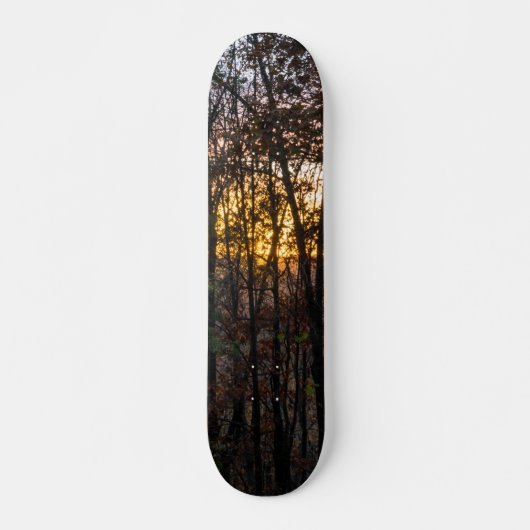 SDC Woody Sunset Skateboard (Vorne)