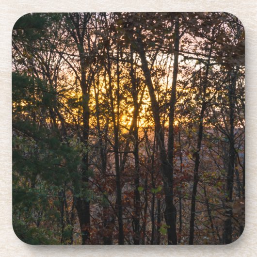 SDC Woody Sunset Untersetzer (Vorderseite)