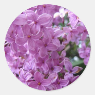 Sdlilac Runder Aufkleber