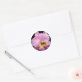 Sdorquidea Runder Aufkleber (Umschlag)