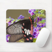 SE Asia, Thailand, Doi Inthanon, Papilio Mousepad (Mit Mouse)