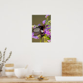 SE Asia, Thailand, Doi Inthanon, Papilio Poster (Küche)