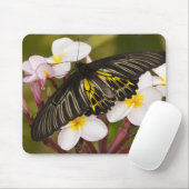 SE Asien, Thailand, Khon Kaen Mousepad (Mit Mouse)