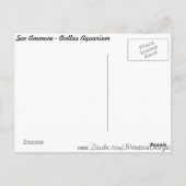 Sea Anemone # 1 Postkarte (Rückseite)