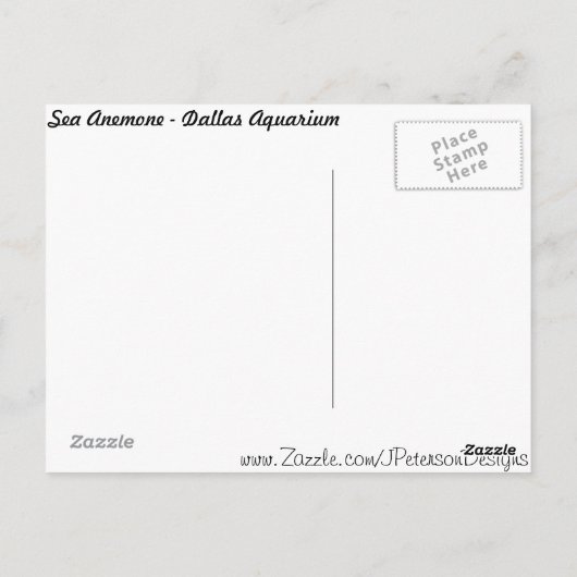 Sea Anemone # 1 Postkarte (Rückseite)