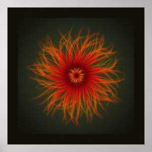 Sea Anemone - Druck Poster