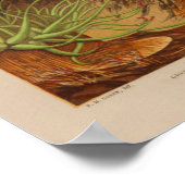 Sea Anemone Ocean Animes Farbkunst drucken Poster (Ecke)