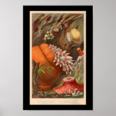 Sea Anemone Red Marine Life Print Poster (Vorne)