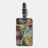 Sea Anemone Scientific Nature Ocean Gepäckanhänger (Vorderseite vertikal)
