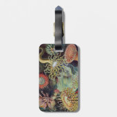 Sea Anemone Scientific Nature Ocean Gepäckanhänger (Rückseite vertikal)