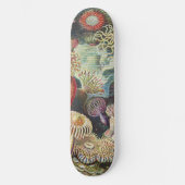Sea Anemone Scientific Nature Ocean Skateboard (Vorderseite)
