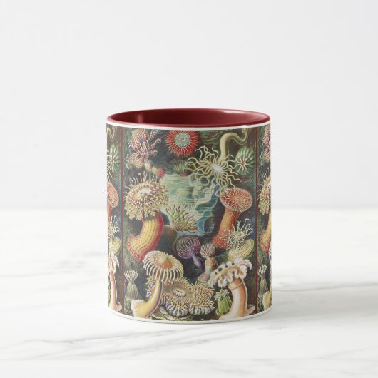 Sea Anemone Scientific Nature Ocean Tasse (Zentrum)