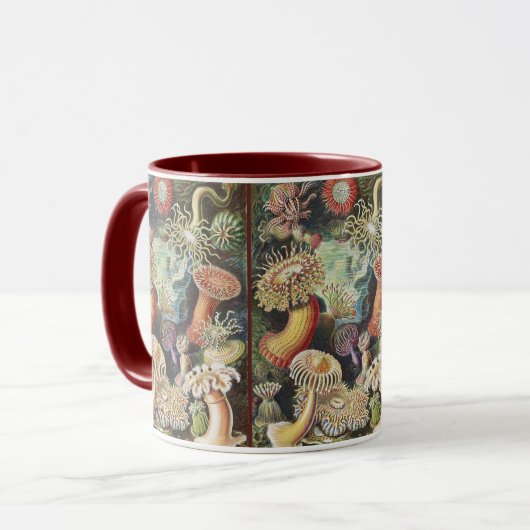 Sea Anemone Scientific Nature Ocean Tasse (Vorderseite Links)
