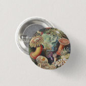 Sea Anemones, Actiniae Seeanemonen Ernst Haeckel Button (Vorne & Hinten)