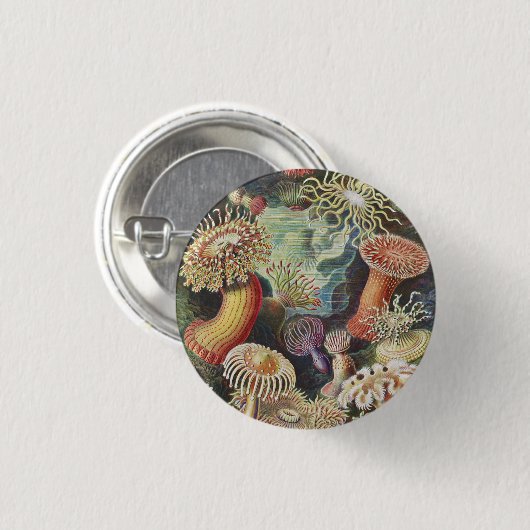 Sea Anemones, Actiniae Seeanemonen Ernst Haeckel Button (Vorne & Hinten)