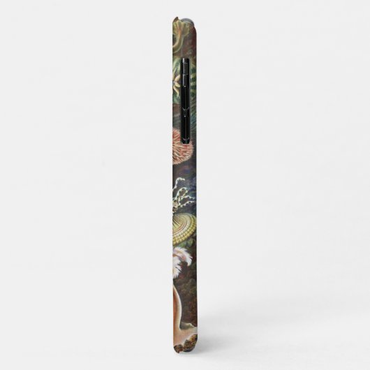 Sea Anemones, Actiniae Seeanemonen Ernst Haeckel Case-Mate iPhone Hülle (Hinten/Links)