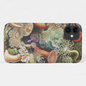 Sea Anemones, Actiniae Seeanemonen Ernst Haeckel Case-Mate iPhone Hülle (Rückseite (Horizontal))