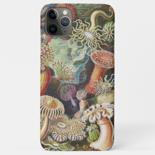 Sea Anemones, Actiniae Seeanemonen Ernst Haeckel Case-Mate iPhone Hülle