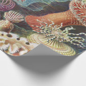 Sea Anemones, Actiniae Seeanemonen Ernst Haeckel Geschenkpapier (Ecke)