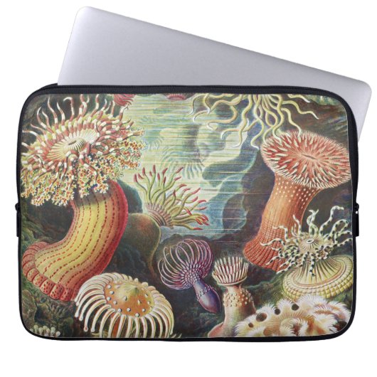 Sea Anemones, Actiniae Seeanemonen Ernst Haeckel Laptopschutzhülle (Vorderseite)