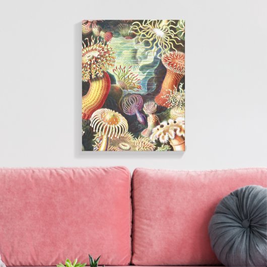 Sea Anemones, Actiniae Seeanemonen Ernst Haeckel Leinwanddruck (Insitu (Wohnzimmer))