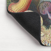 Sea Anemones, Actiniae Seeanemonen Ernst Haeckel Mousepad (Ecke)