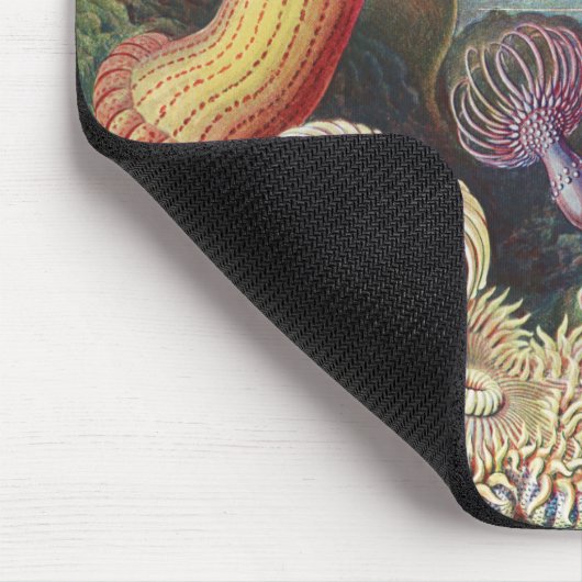 Sea Anemones, Actiniae Seeanemonen Ernst Haeckel Mousepad (Ecke)
