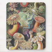 Sea Anemones, Actiniae Seeanemonen Ernst Haeckel Mousepad (Vorne)