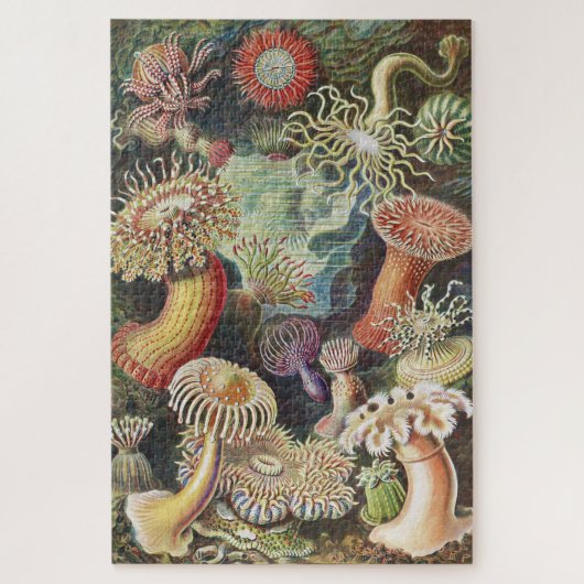 Sea Anemones, Actiniae Seeanemonen Ernst Haeckel Puzzle (Vertikal)