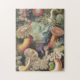 Sea Anemones, Actiniae Seeanemonen Ernst Haeckel Puzzle
