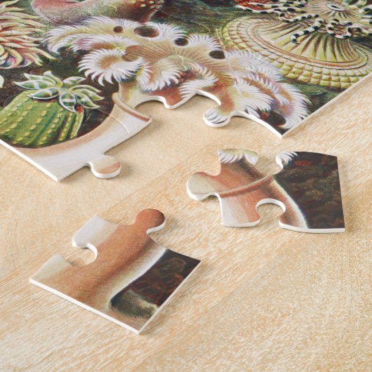 Sea Anemones, Actiniae Seeanemonen Ernst Haeckel Puzzle (Seite)