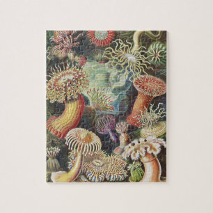 Sea Anemones, Actiniae Seeanemonen Ernst Haeckel Puzzle