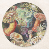 Sea Anemones, Actiniae Seeanemonen Ernst Haeckel Runder Pappuntersetzer (Vorderseite)