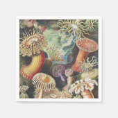 Sea Anemones, Actiniae Seeanemonen Ernst Haeckel Serviette (Vorderseite)