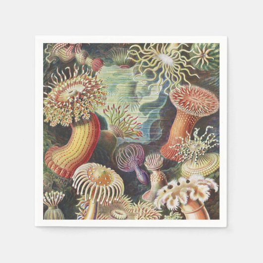 Sea Anemones, Actiniae Seeanemonen Ernst Haeckel Serviette (Vorderseite)