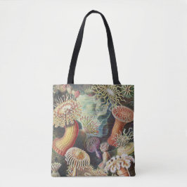 Sea Anemones, Actiniae Seeanemonen Ernst Haeckel Tasche
