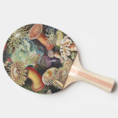 Sea Anemones, Actiniae Seeanemonen Ernst Haeckel Tischtennis Schläger (Seitenansicht)