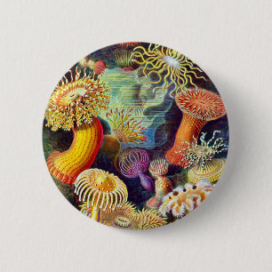 Sea Anemones Ernst Haeckel Fine Art Button
