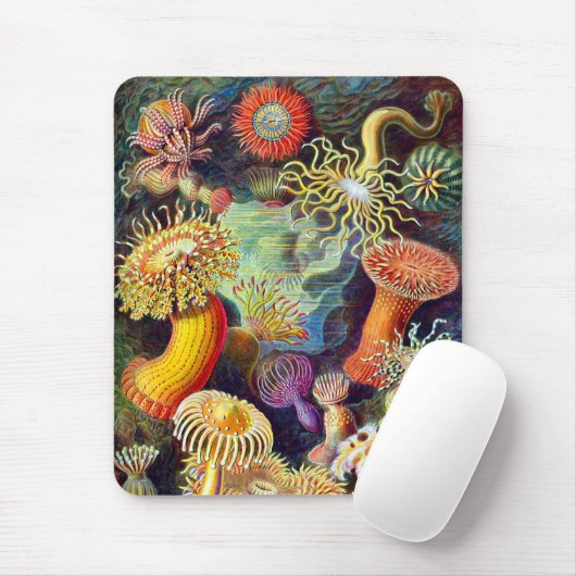 Sea Anemones Ernst Haeckel Fine Art Mousepad (Mit Mouse)