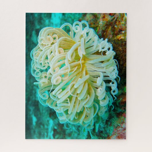 Sea Anemonies Jigsaw Puzzle (Vertikal)