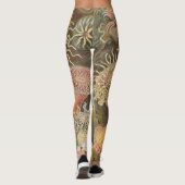 Sea Anenomes von Ernst Haeckel Leggings (Rückseite)
