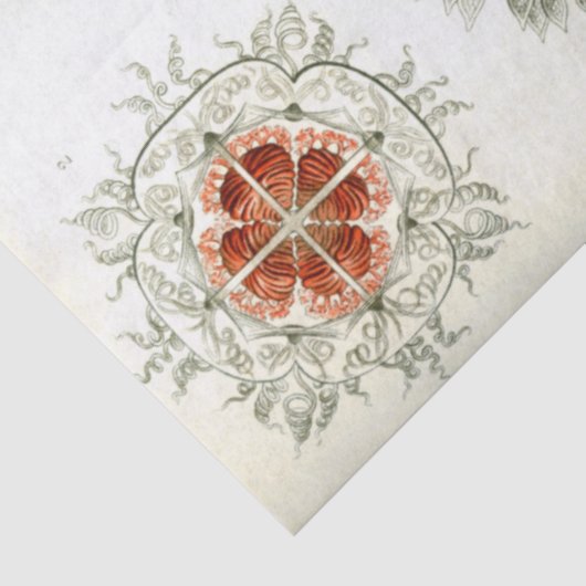 Sea Anthomedusae Ernst Haeckel Decoupage Seidenpapier (Ausschnitt)