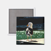 Sea Bird Magnet (Vorderseite/Rückseite)
