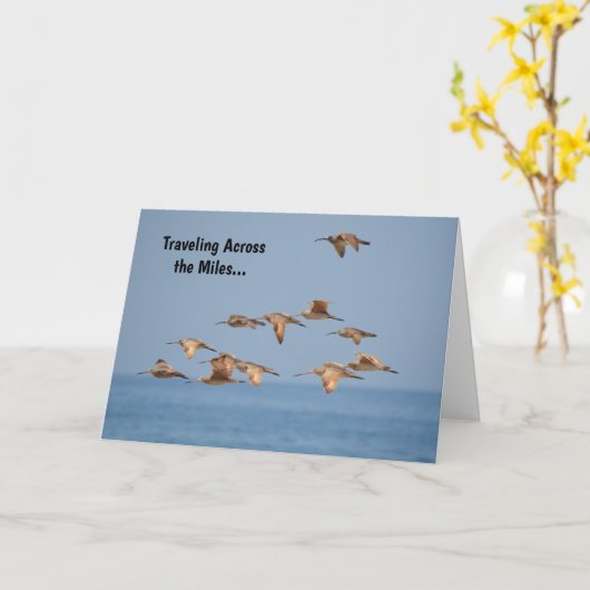 Sea Birds Flying Nice Pub Card Karte (Gelbe Blume)