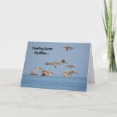 Sea Birds Flying Nice Pub Card Karte (Vorderseite)